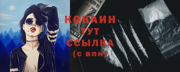ешки Инсар