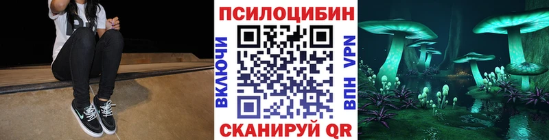 blacksprut ссылки  Кедровый  Псилоцибиновые грибы Magic Shrooms 