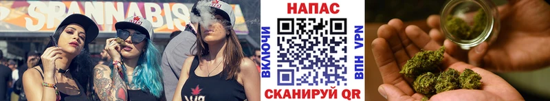 Конопля гибрид  сайты даркнета официальный сайт  Кедровый  купить наркоту 
